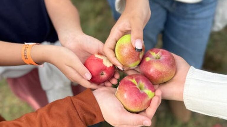 Apple Picking & Exercise: Combining Fall Fun with Family Fitness - Health and wellness