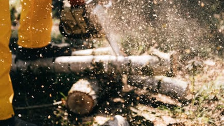 Asthma & Allergies: Manage Your Symptoms - Health and wellness