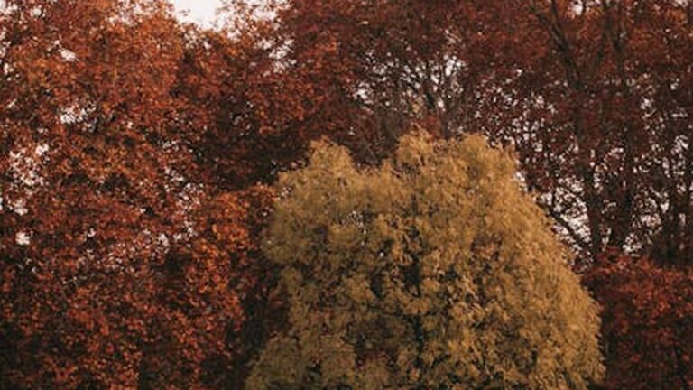 Beyond Meditation: Alternative Mindfulness Practices for a Calmer October - Health and wellness