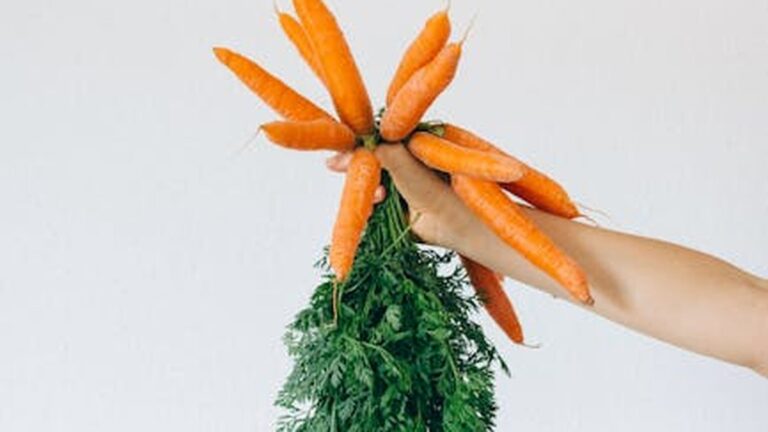 Cozy Comfort Food, Healthy Swaps: Autumn Recipes That Nourish Your Body and Soul - Health and wellness