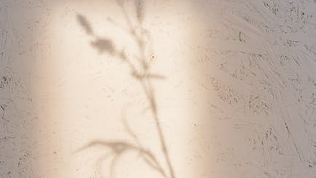 Declutter Your Mind: Mindfulness Techniques for Reducing Stress & Anxiety - Health and wellness