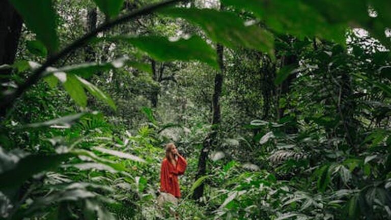Embracing Mindful Hiking: A Guide to Nature-Based Stress Relief This October - Health and wellness
