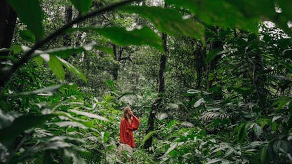 Embracing Mindful Hiking: A Guide to Nature-Based Stress Relief This October - Health and wellness