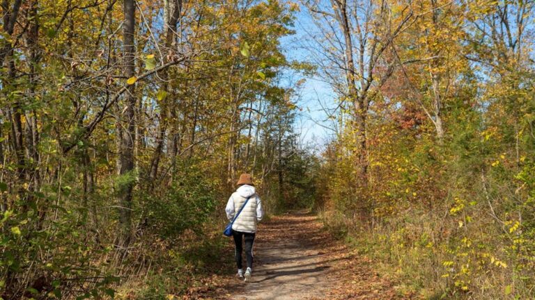 Fall Foliage Fitness: Outdoor Hiking and Trail Running Safety Guide (2025) - Health and wellness