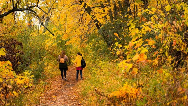 Fall Hiking Safety: Prepare for Autumn Adventures - Health and wellness