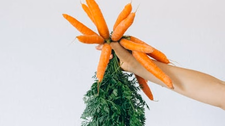 Harvest Vegetable Recipes: Delicious and Nutritious Dishes for a Fall Feast - Health and wellness