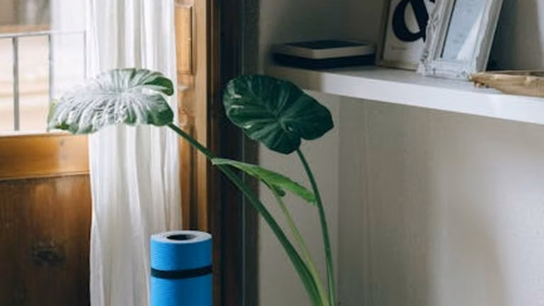 Indoor Cycling: Winter Wellness at Home - Health and wellness