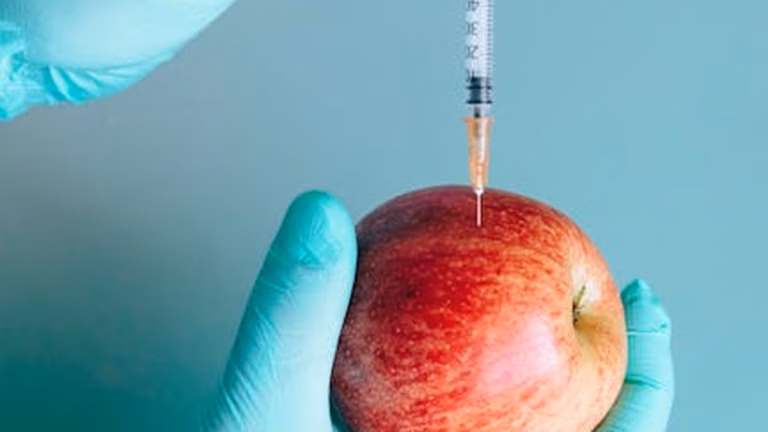 Personalized Nutrition: Diet Based on DNA - Health and wellness