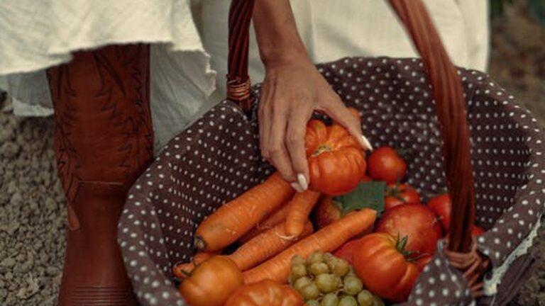 Sustainable Wellness: Eco-Friendly Health Practices for a Better Future - Health and wellness