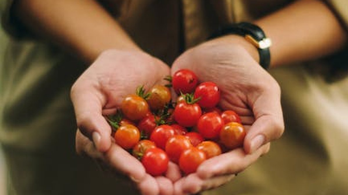 Sustainable Wellness: Eco-Friendly Practices for a Healthier Planet and You - Health and wellness