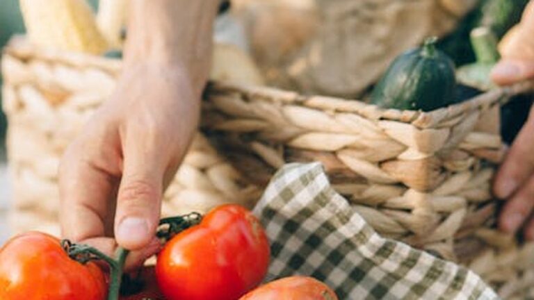 Sustainable Wellness: Eco-Friendly Practices for a Healthier You and a Healthier Planet - Health and wellness
