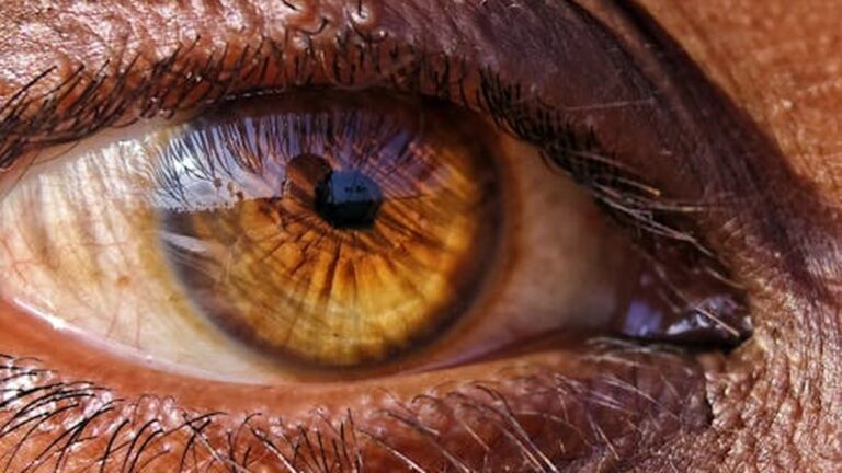 The Importance of Regular Eye Exams: Protecting Your Vision in 2025 - Health and wellness