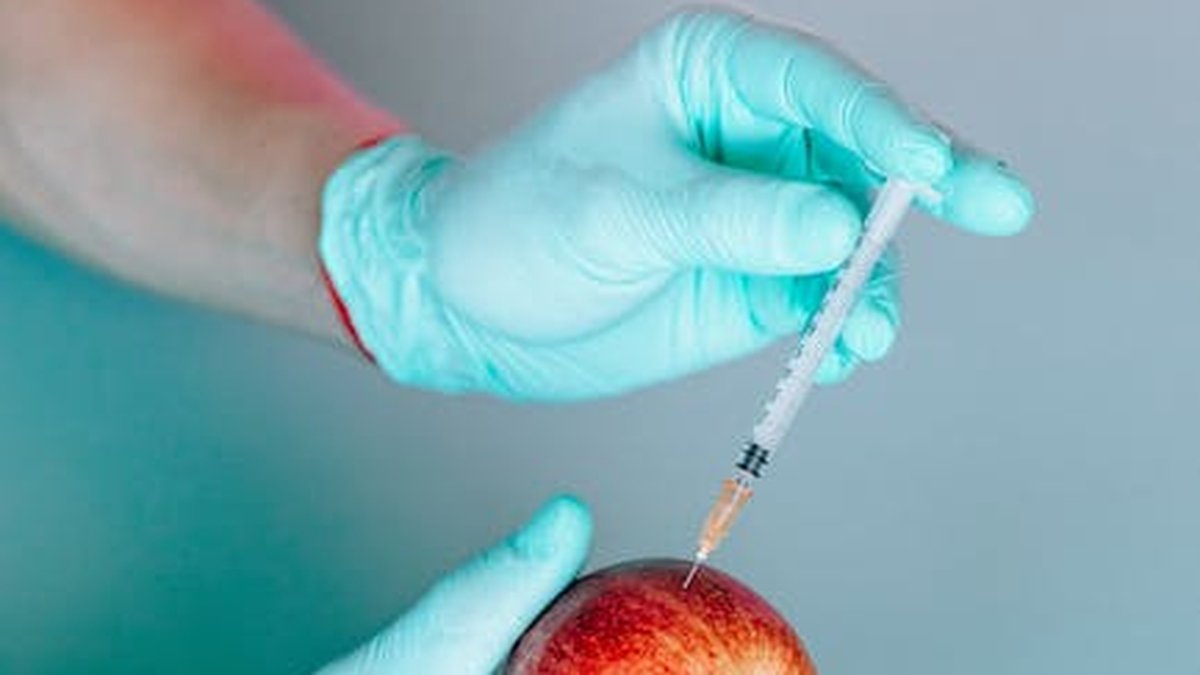 The Rise of Personalized Nutrition: Genetic Testing and Tailored Diet Plans - Health and wellness
