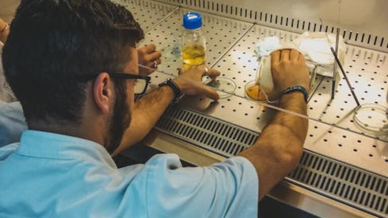 The Rise of Personalized Nutrition: Is DNA-Based Dieting Right for You? - Health and wellness