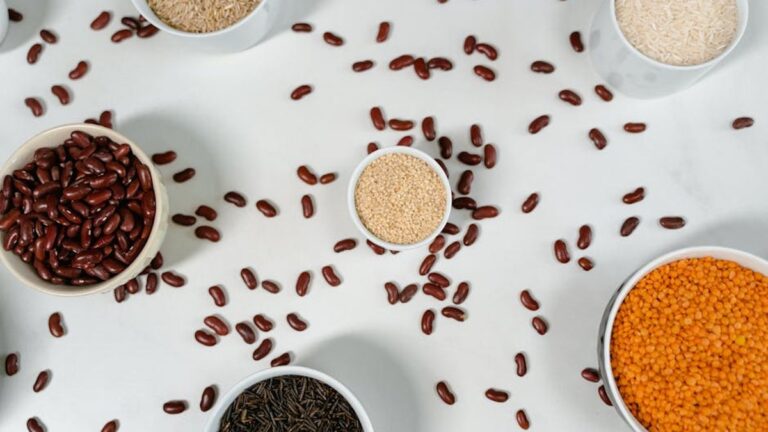 The Ultimate Guide to Plant-Based Protein Sources - Health and wellness