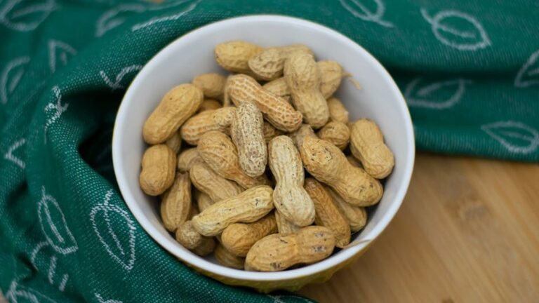 The Ultimate Guide to Plant-Based Protein Sources: Fuel Your Body Naturally - Health and wellness