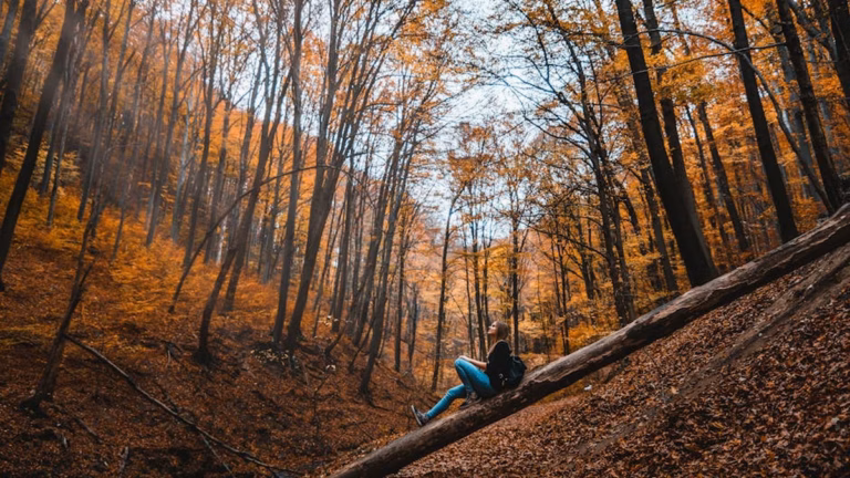Fall Hiking Safety: Gear, Preparation, and Emergency Tips for Hitting the Trails - Health and wellness