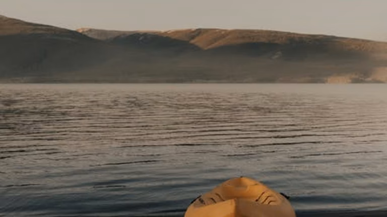 Gout Flare-Ups: Diet & Management - Health and wellness