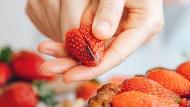 Healthy Holiday Baking: Delicious and Nutritious Treats for Thanksgiving - Health and wellness