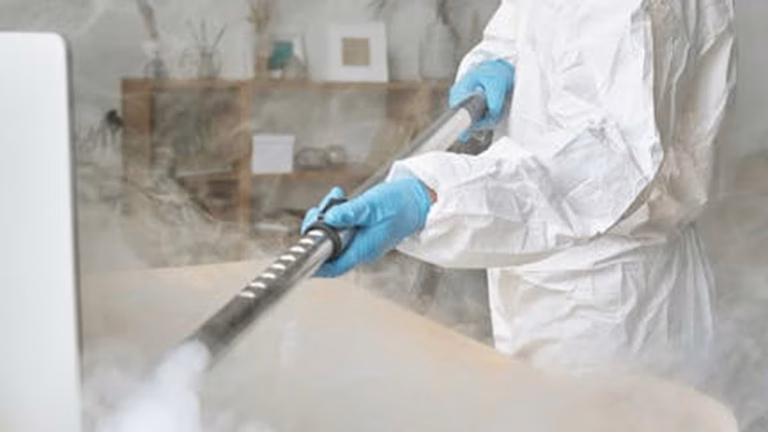 Living Well with Allergies: Managing Indoor Allergens This Fall and Winter - Health and wellness