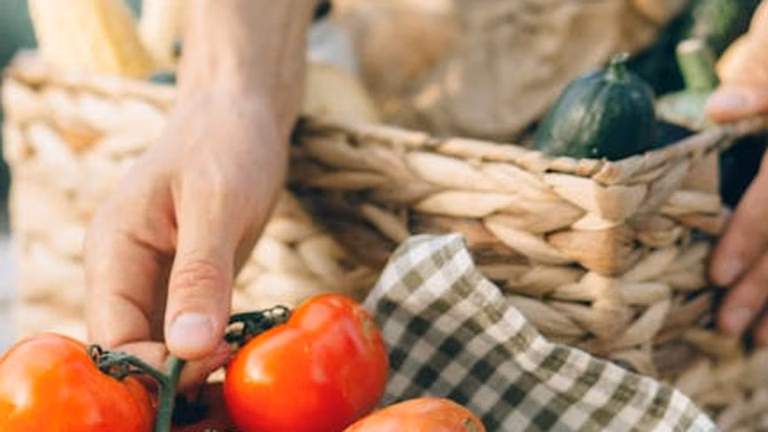 Sustainable Wellness: Eco-Friendly Health Habits for a Healthier Planet and You in 2025 - Health and wellness